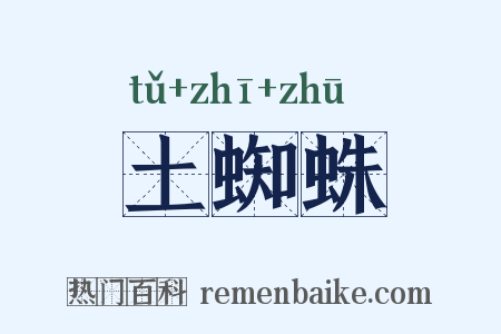 土蜘蛛是什么意思的图片